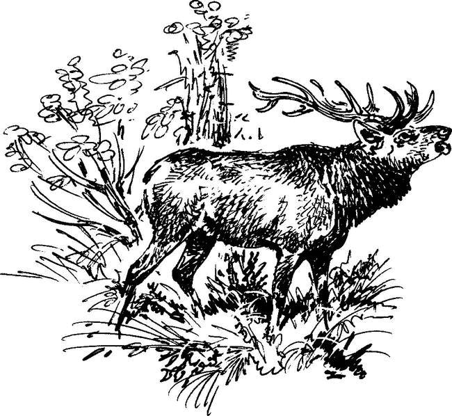 На теплой земле (сборник)