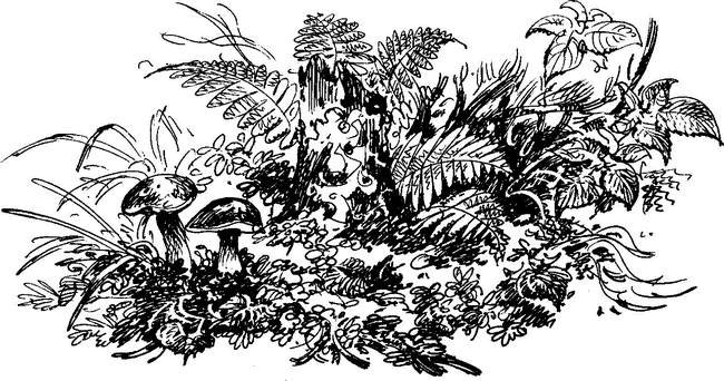 На теплой земле (сборник)