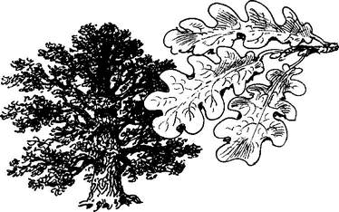 На теплой земле (сборник)