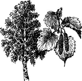 На теплой земле (сборник)