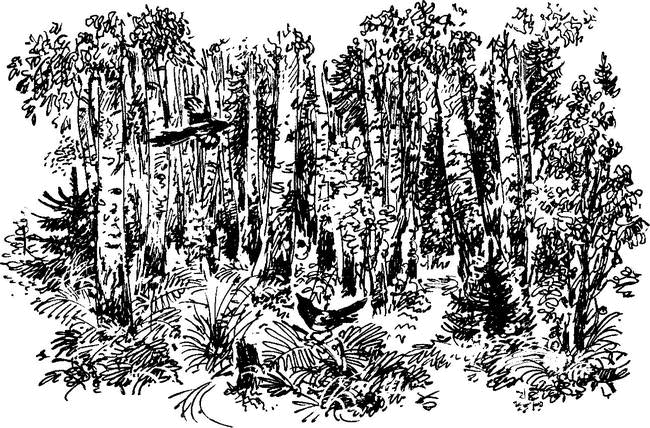 На теплой земле (сборник)
