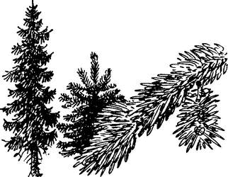 На теплой земле (сборник)