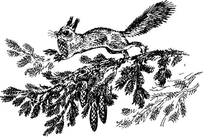 На теплой земле (сборник)