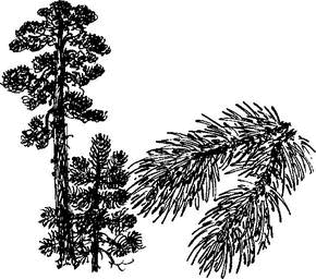 На теплой земле (сборник)