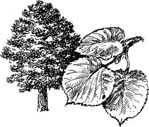 На теплой земле (сборник)