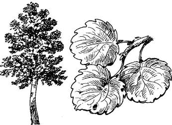 На теплой земле (сборник)