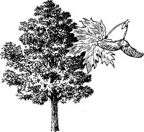 На теплой земле (сборник)