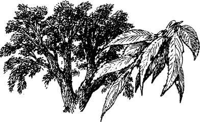 На теплой земле (сборник)