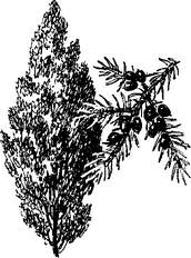 На теплой земле (сборник)