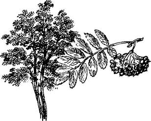 На теплой земле (сборник)