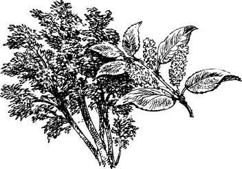 На теплой земле (сборник)