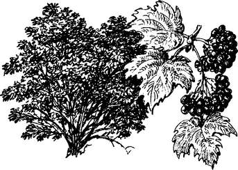 На теплой земле (сборник)