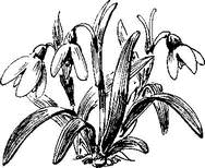 На теплой земле (сборник)