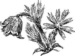 На теплой земле (сборник)