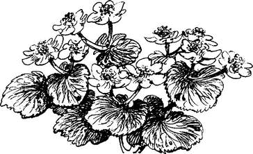 На теплой земле (сборник)