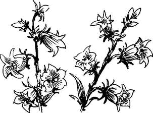 На теплой земле (сборник)