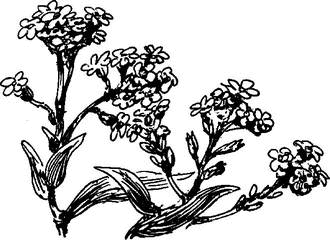 На теплой земле (сборник)