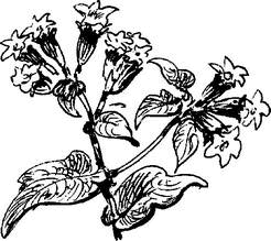 На теплой земле (сборник)
