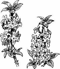 На теплой земле (сборник)