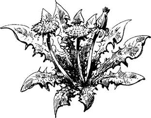 На теплой земле (сборник)