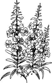 На теплой земле (сборник)
