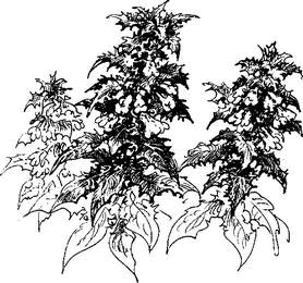 На теплой земле (сборник)