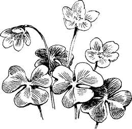 На теплой земле (сборник)