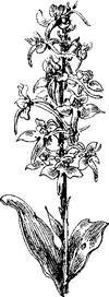 На теплой земле (сборник)