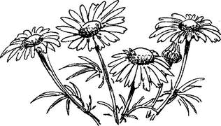 На теплой земле (сборник)
