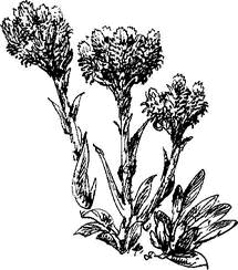 На теплой земле (сборник)