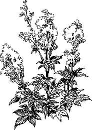 На теплой земле (сборник)