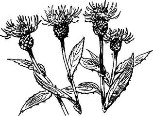 На теплой земле (сборник)