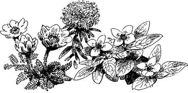 На теплой земле (сборник)
