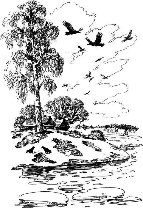 На теплой земле (сборник)