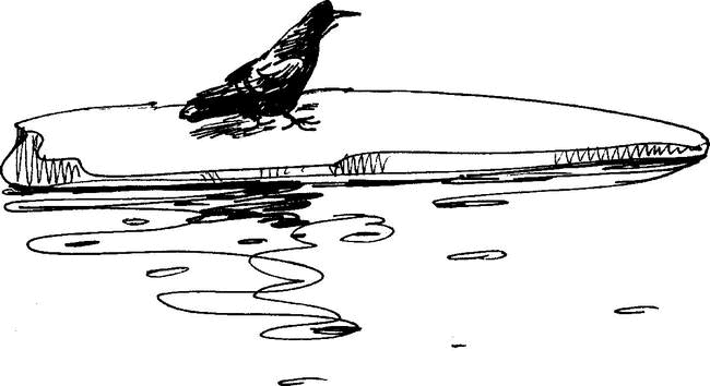 На теплой земле (сборник)