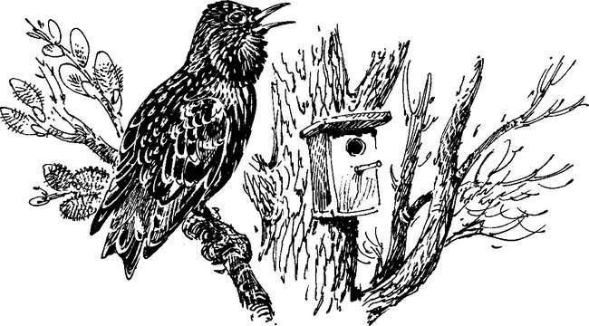 На теплой земле (сборник)