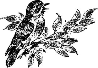 На теплой земле (сборник)