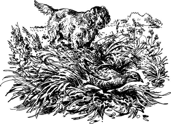 На теплой земле (сборник)