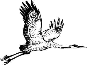 На теплой земле (сборник)