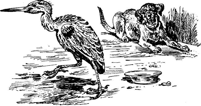 На теплой земле (сборник)