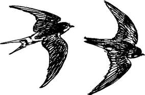 На теплой земле (сборник)
