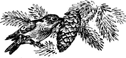 На теплой земле (сборник)