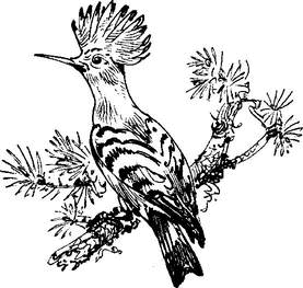 На теплой земле (сборник)