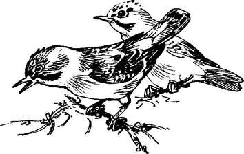 На теплой земле (сборник)
