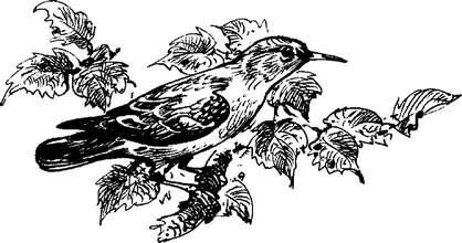 На теплой земле (сборник)