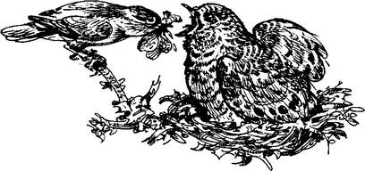 На теплой земле (сборник)