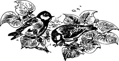 На теплой земле (сборник)