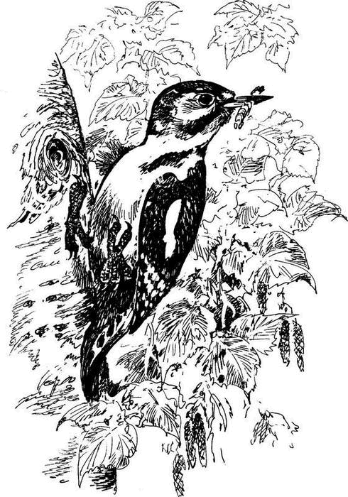 На теплой земле (сборник)