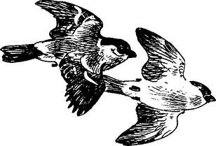 На теплой земле (сборник)