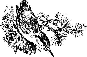 На теплой земле (сборник)